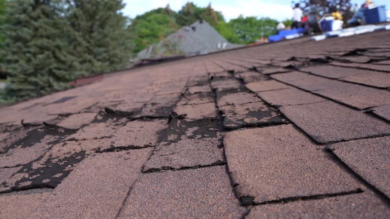 Best Roof Leak Repair  in Portland, MI