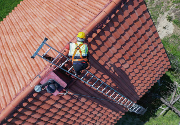Best Rubber Roofing (EPDM, TPO)  in Portland, MI