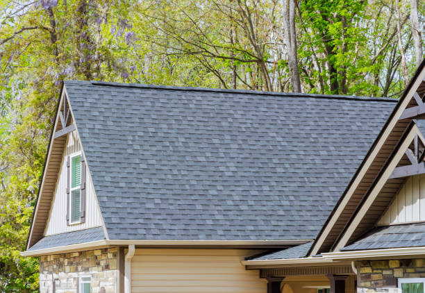 Best Roof Insulation Installation  in Portland, MI